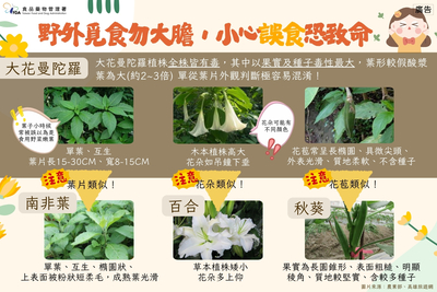 轉知宣導「不採、不食野生不明動植物」原則，以降低食品中毒風險。圖片